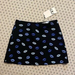 NWT Zara skirt